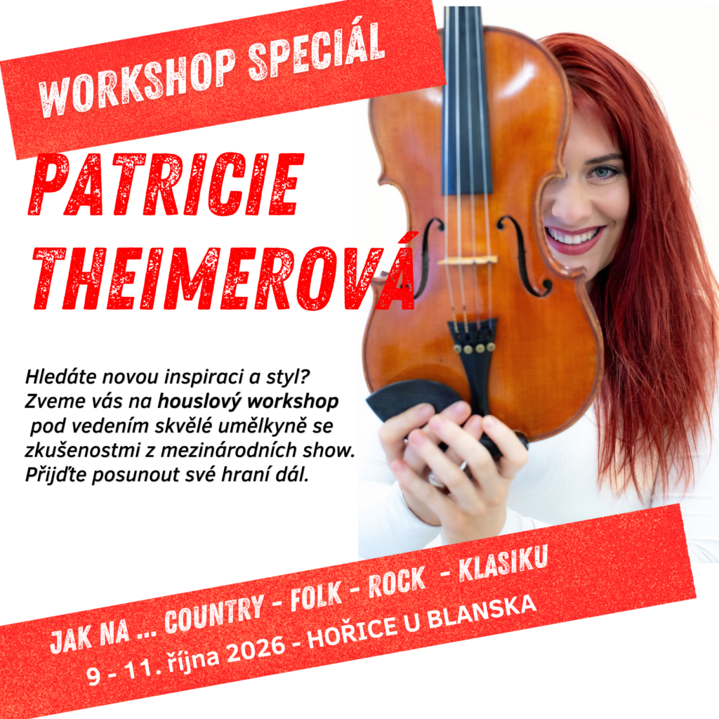 houslový workshop